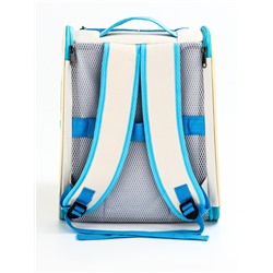 Рюкзак для переноски кошек и собак, прозрачный, 32×28×38 см, бело-синий