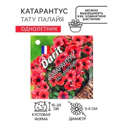 Семена цветов Катарантус "Тату Палайя", 7 шт