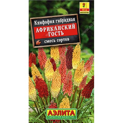 1530A Книфофия Африканский гость, смесь сортов 30 шт