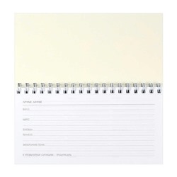 Еженедельник недатированный на спирали 165х85 мм 128 стр. 71597 "БЕРЕЗА" Феникс