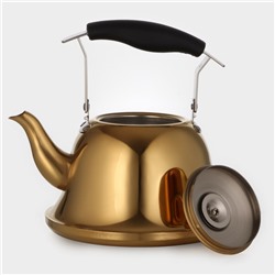 Чайник «Голд», 2 л, 23×19×20 см, нержавеющая сталь, золотистый