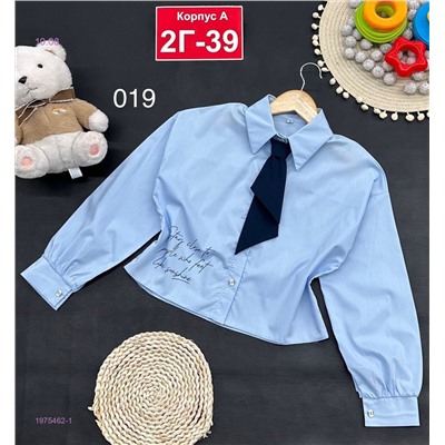 рубашка 1975462-1