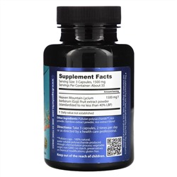 Dragon Herbs, Goji LBP-40, 500 mg, 100 Vegetarian Capsules