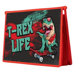 Папка для тетрадей А4 на молнии сверху 32,5х23х5,5 см ПМ-А4-229 "T-REX" Пчелка