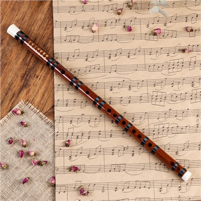 Флейта Music Life 56 см, тональность C