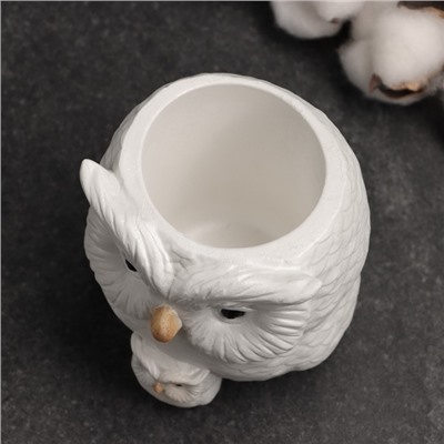 Фигурное кашпо для цветов «Сова с совёнком», 12×14×10 см, гипс, белое