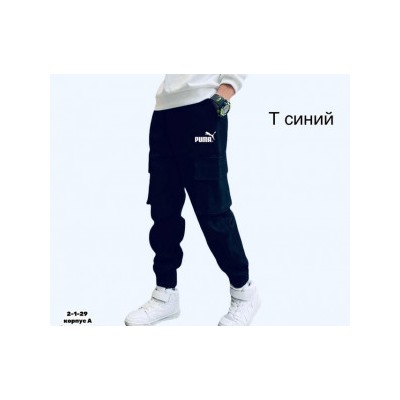 Спортивные брюки #22408850