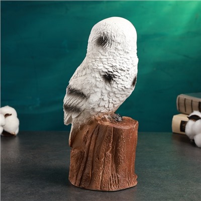 Копилка для денег «Сова полярная», гипс, 14×12×27 см