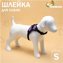 Шлейка К7 мягкая светоотражающая, размер S, ОГ 44-55 см, вес 5-9 кг, фиолетовая