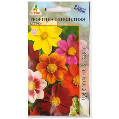 Георгина Мигнон Смесь (Код: 12300)
