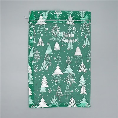 Мешочек подарочный новогодний органза «Исполнения желаний», 20×30 см ± 1.5 см