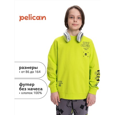 PELICAN Толстовка BFN3369/1
