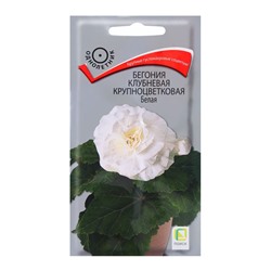Семена цветов Бегония клубневая крупноцветковая Белая, 5шт