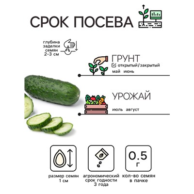 Семена Огурец «Кустовой», 0.5 г, «Рецепты дедушки Никиты»