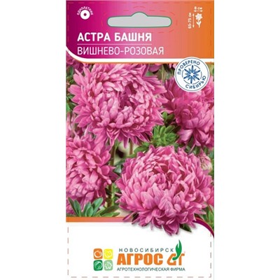 Астра Башня Вишнево-розовая (Код: 93416)