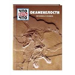 Эксмо Манфред Баур "ОКАМЕНЕЛОСТИ. Летопись в камне"
