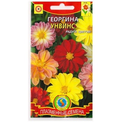 Георгина Унвинс    (Код: 75186)