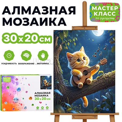 Мозаика алмазная "Котик с гитарой" 20*30см.