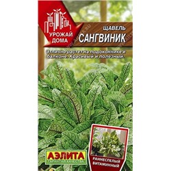 Щавель Сангвиник(зеленый с красными прожилками) (Аэлита)
