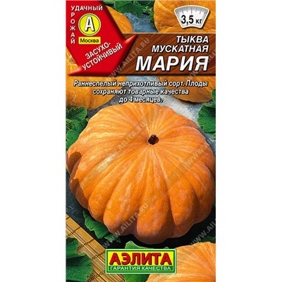Тыква Мария мускатная (Код: 93499)