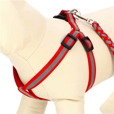 Шлейка с поводком «Плетенка», ОГ 32-48×1.5 с, поводок 115×1 см, флуоресцентная, красная