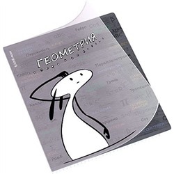 Тетрадь 48л с пластиковой обложкой "Чубрик" по геометрии 59471 ErichKrause