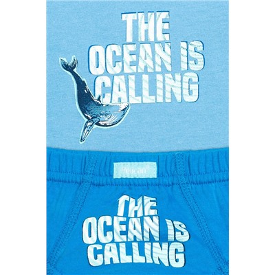 Комплект (Трусы+Майка) PELICAN, 684408