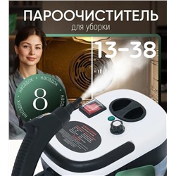 Пароочиститель