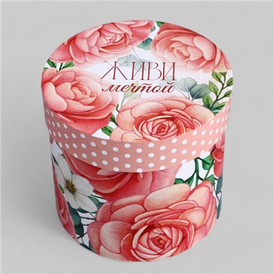 Набор шляпных коробок для цветов 4 в 1, упаковка подарочная, «Нежность», 20×17.5 - 16×14 см
