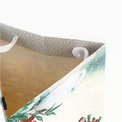 Пакет новогодний подарочный под бутылку, треугольный «Чудо», 13×32×11 см