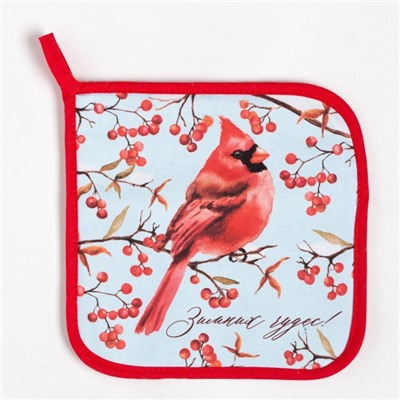 Набор кухонный Winter birds варежка-прихватка 20×28 см, прихватка 19×19 см,100%хлопок
