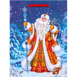 Пакет подарочный новогодний ламинированный, «Новогодний набор », 18×10×22.3 см