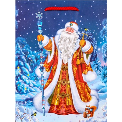 Пакет подарочный новогодний ламинированный, «Новогодний набор », 18×10×22.3 см