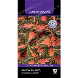 Колеус Визард Корал Санрайз (Код: 93369)