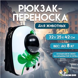 Рюкзак для переноски кошек и собак «Лист», 32×25×42 см, с окном