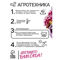 Семена Виола "Махровое кружево", ц/п,  триколор, F1, 4 шт