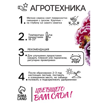 Семена Виола "Махровое кружево", ц/п,  триколор, F1, 4 шт