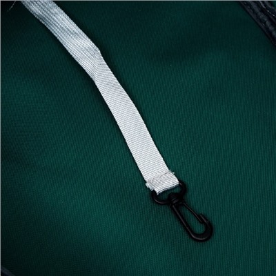 Рюкзак для переноски животных, 31×28×42 см, прозрачный, сине-зелёный