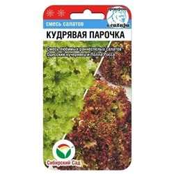 Салат Кудрявая парочка (Сиб сад)