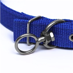Ошейник двухслойный с вертлюгом, 55×2.5 см, полиэстер, синий