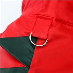 Комбинезон для собак «Дракоша», демисезонный, размер M (ДС 30, ОГ 40, вес 5-7 кг)