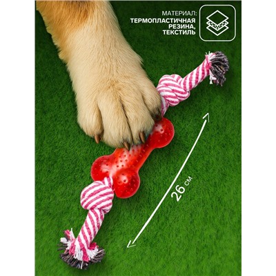 Игрушка канатная с косточкой, до 90 г, до 26 см, микс цветов