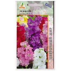 Левкой Десять недель (Код: 78798)