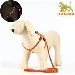 Комплект светоотражающий «Косточки», ошейник 120×1 см, ОШ 24-40 см, ОГ 24-40 см оранжевый