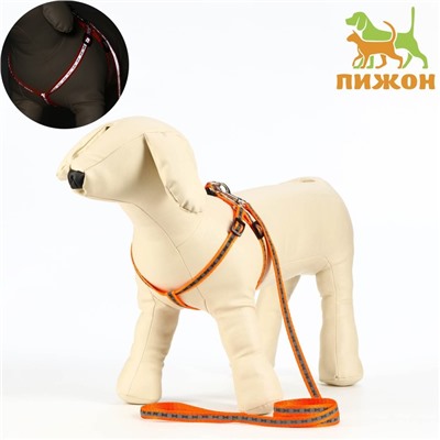 Комплект светоотражающий «Косточки», ошейник 120×1 см, ОШ 24-40 см, ОГ 24-40 см оранжевый