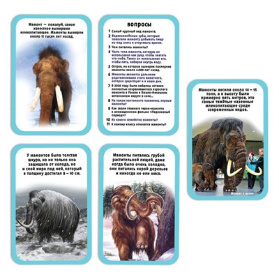 Набор для опытов «Ледниковая эпоха», мамонт