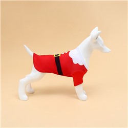 Толстовка для собак с колпаком Santa, M (ДС 30, ОГ 40 см)
