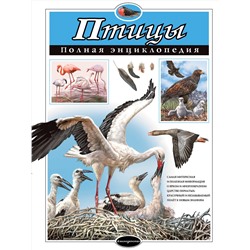 Эксмо Ю.К. Школьник "Птицы. Полная энциклопедия"