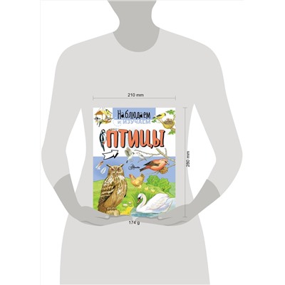 АСТ Алиса Ткачева "Птицы"