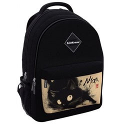 Рюкзак школьный "EasyLine. Blur Cat" 20L 44х23х33 см 62820 ErichKrause